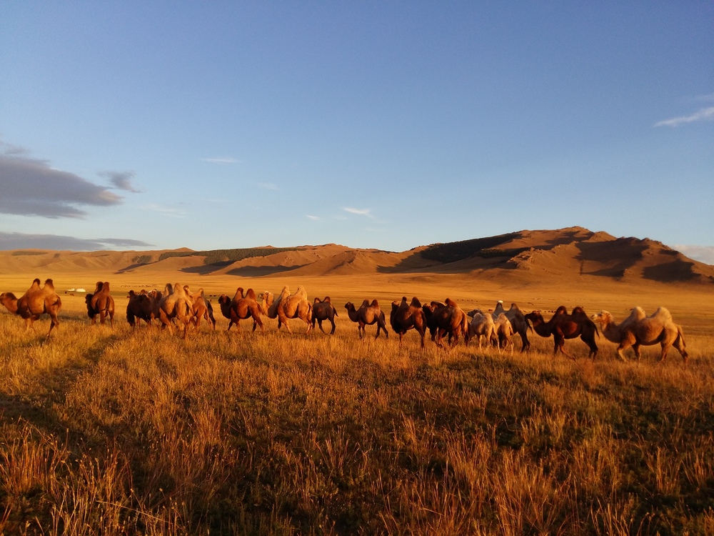 Die Nomaden der Mongolei