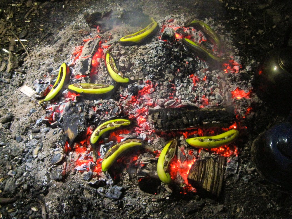 Bananen im Feuer grillen