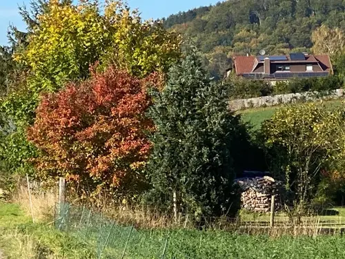 Wakini Waldkindergarten