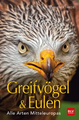 Buchcover: Greifvögel & Eulen